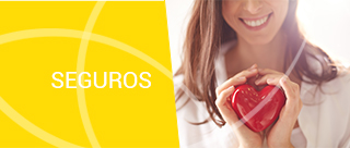 Seguros