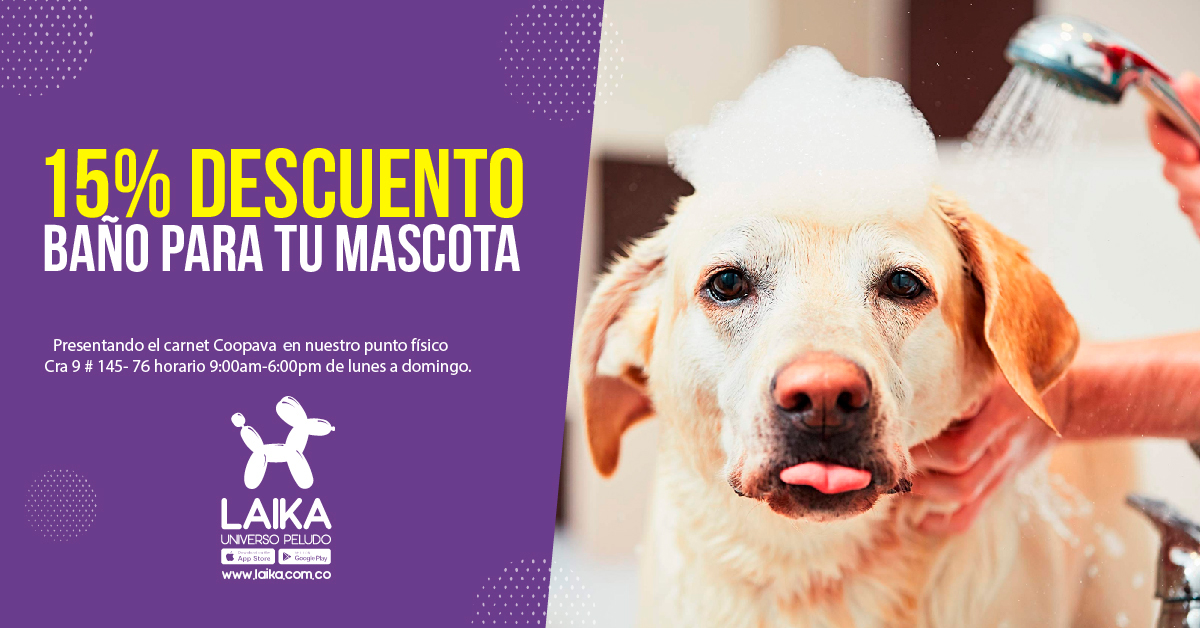 1_laika.jpg (408 KB)