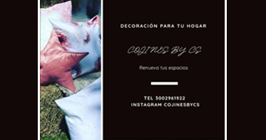 Cojines By Cs