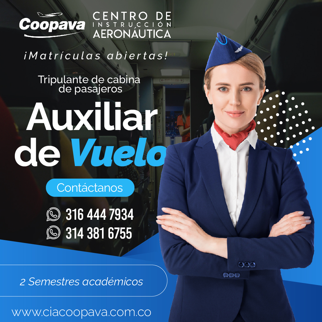 auxiliar de vuelo.jpg (681 KB)